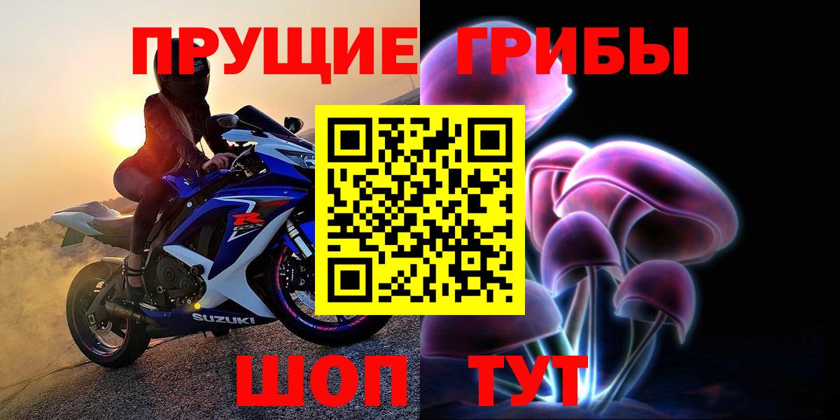 Йошкар-Ола  где можно купить   Вход с VPN  Галлюциногенные грибы прущие грибы 